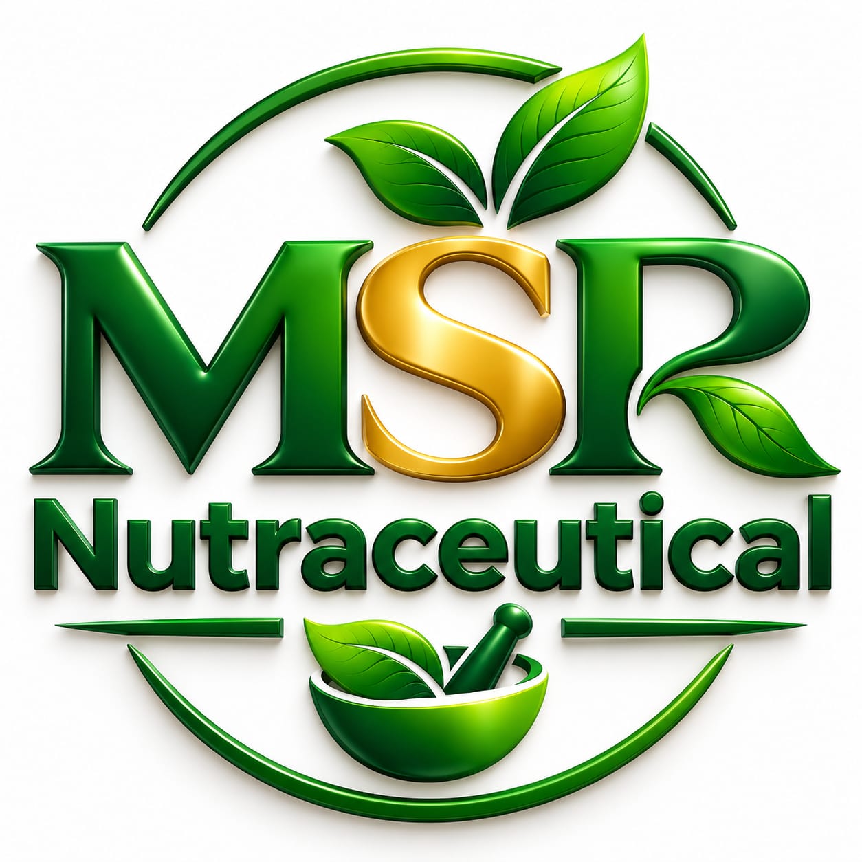 MSR Logo